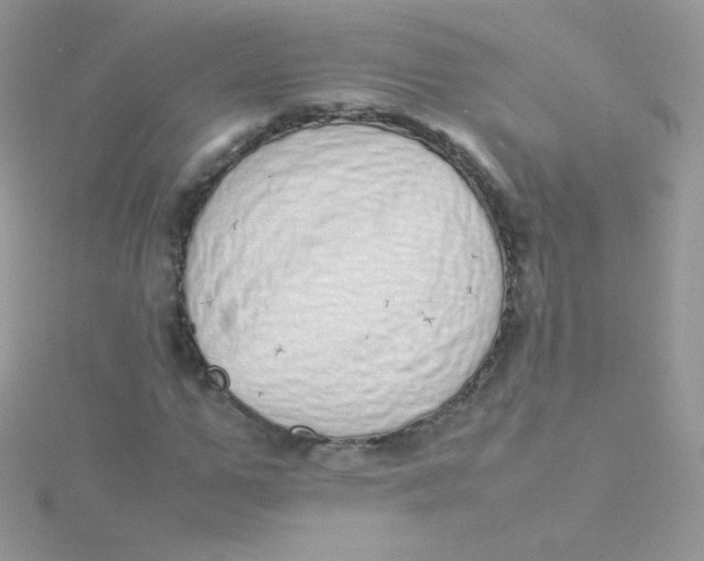 X0000115500967200911271406