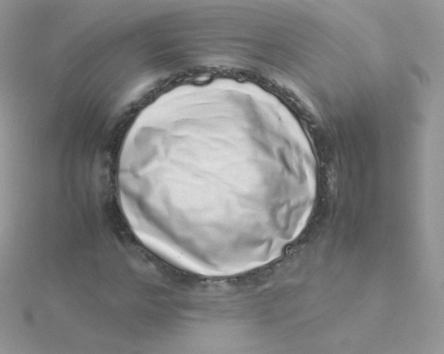 X0000115500968200911271406