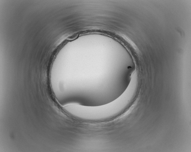 X0000115500969200911271406