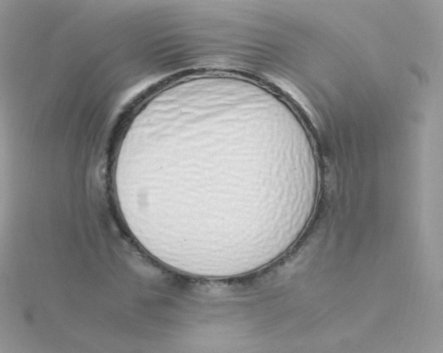 X0000115500971200911271406