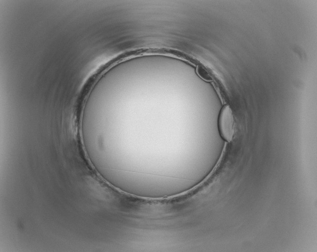 X0000115500973200911271406