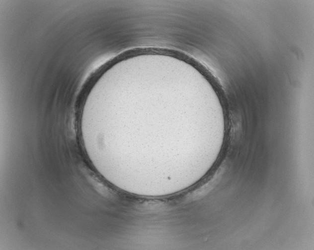 X0000115500974200911271406