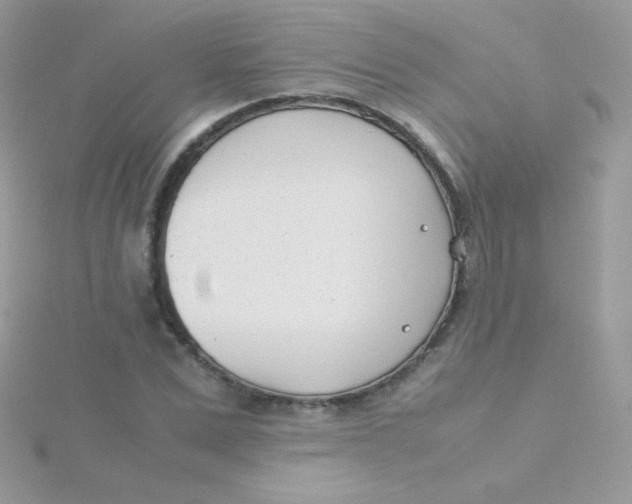 X0000115500975200911271406