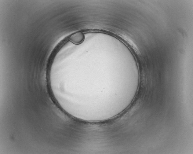 X0000115500976200911271406