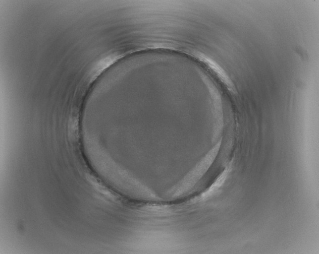 X0000115500977200911271406