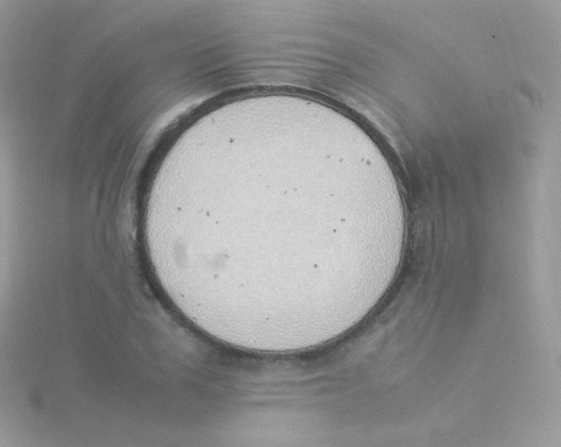 X0000115500979200911271406