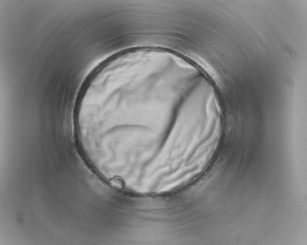 X0000115500980200911271406