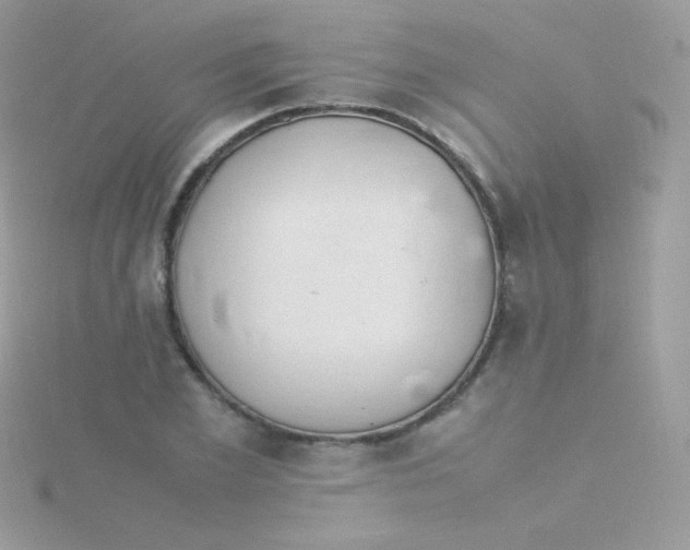 X0000115500981200911271406