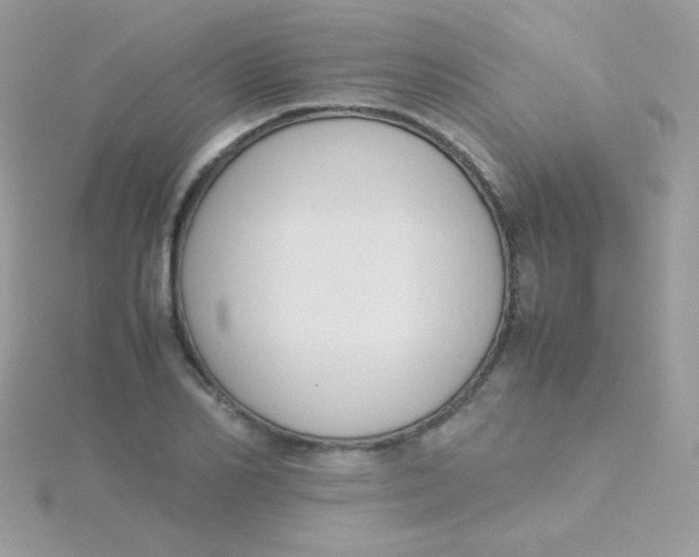 X0000115500982200911271406