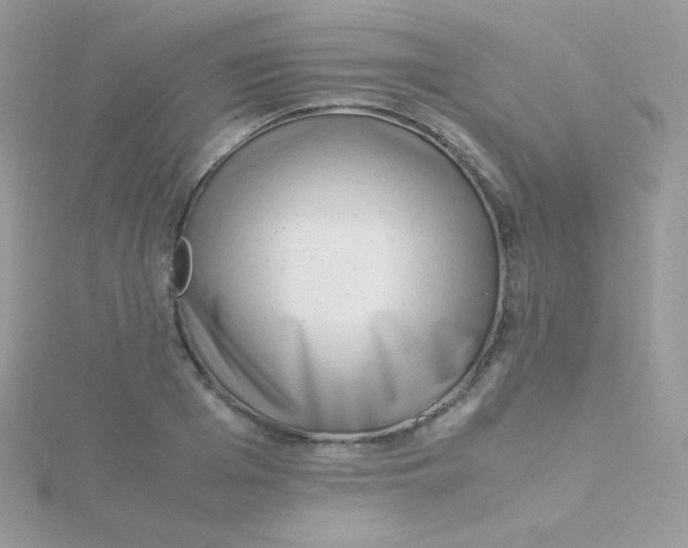 X0000115500985200911271406