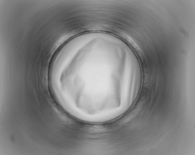 X0000115500986200911271406