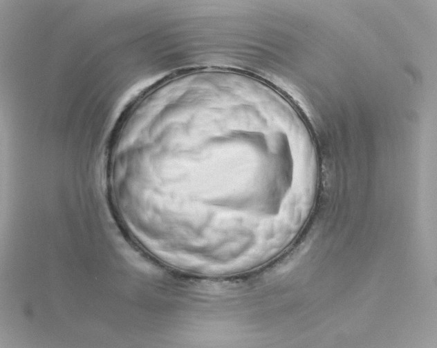 X0000115500987200911271406