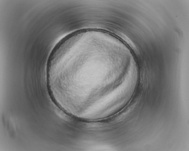 X0000115500988200911271406