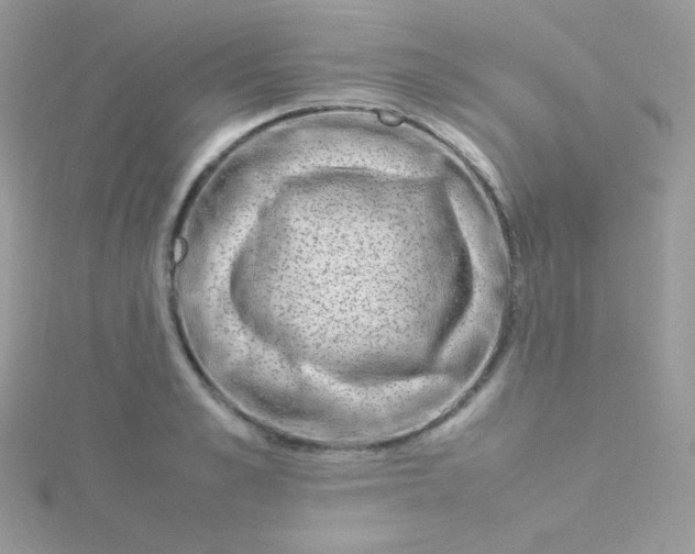 X0000115500989200911271406