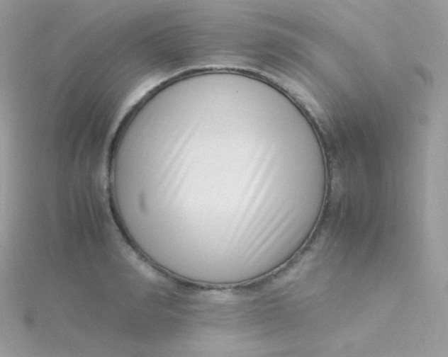 X0000115500990200911271406