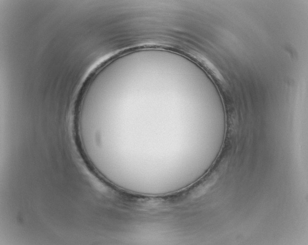 X0000115500991200911271406