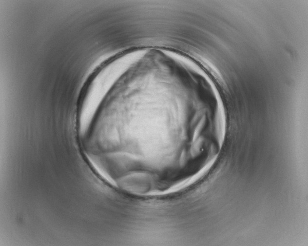 X0000115500992200911271406