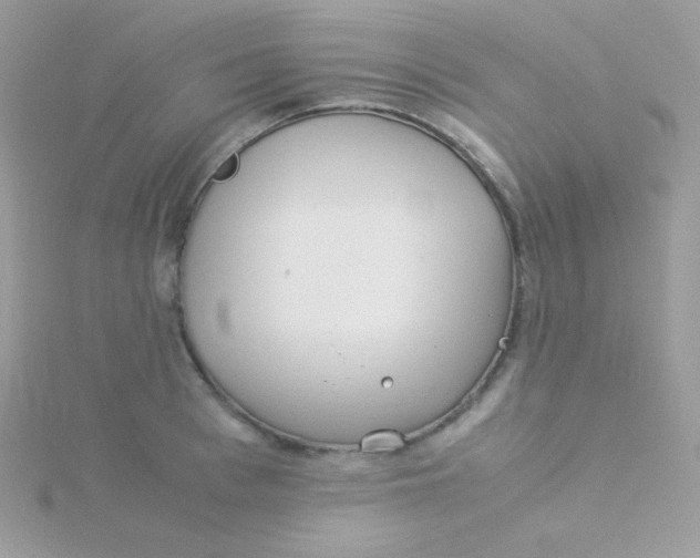 X0000115500993200911271406