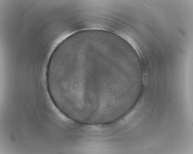 X0000115500995200911271406