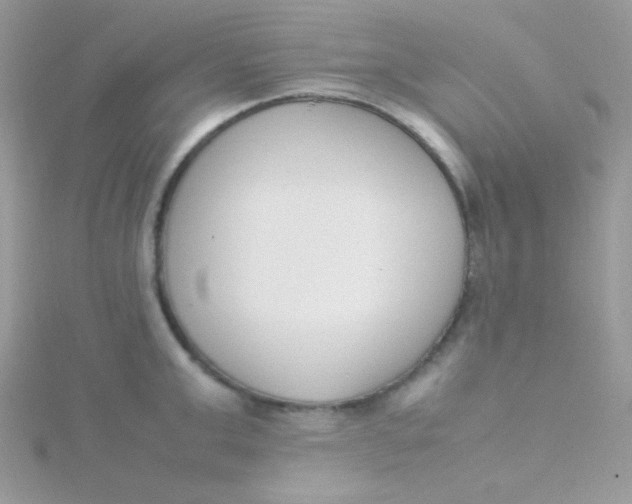 X0000115500999200911271406