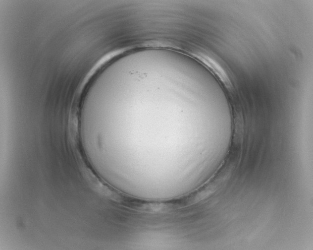 X0000115501000200911271406