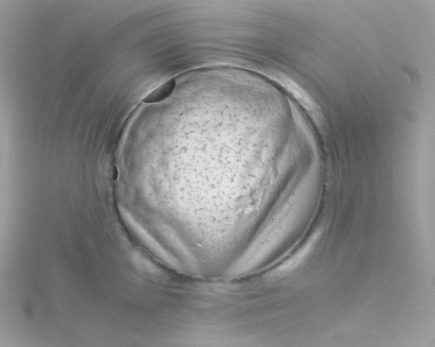 X0000115501001200911271406