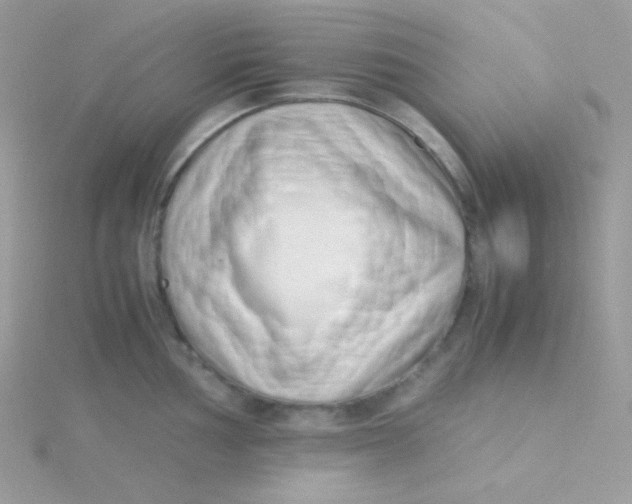 X0000115501002200911271406