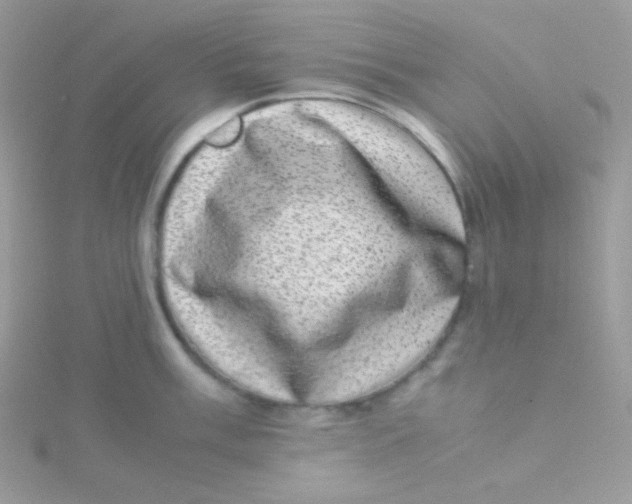 X0000115501003200911271406