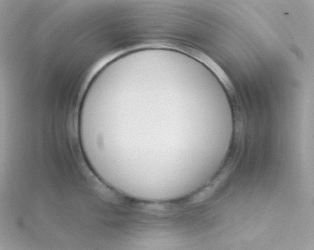 X0000115501004200911271406