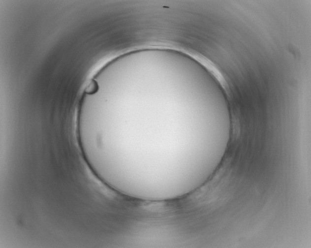 X0000115501006200911271406