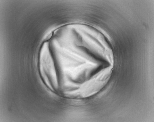 X0000115501007200911271406