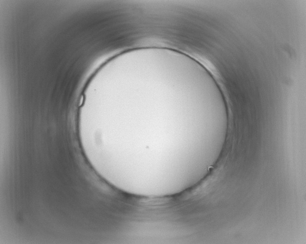 X0000115501008200911271406