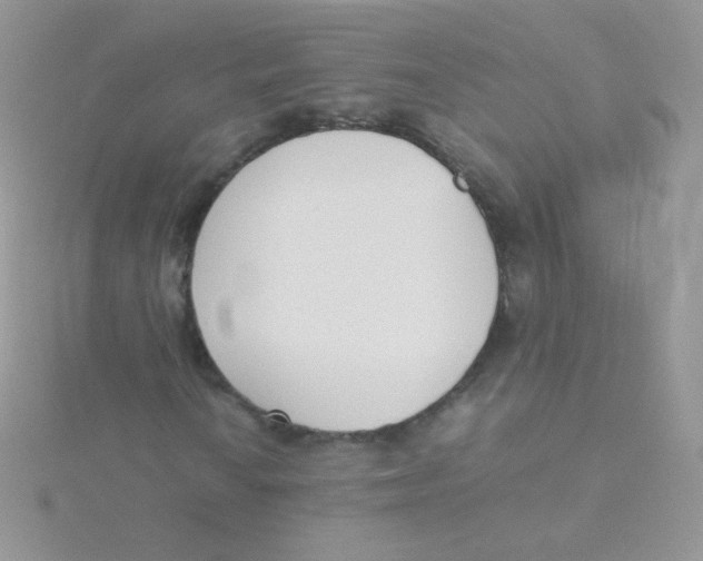 X0000115501010200911271405