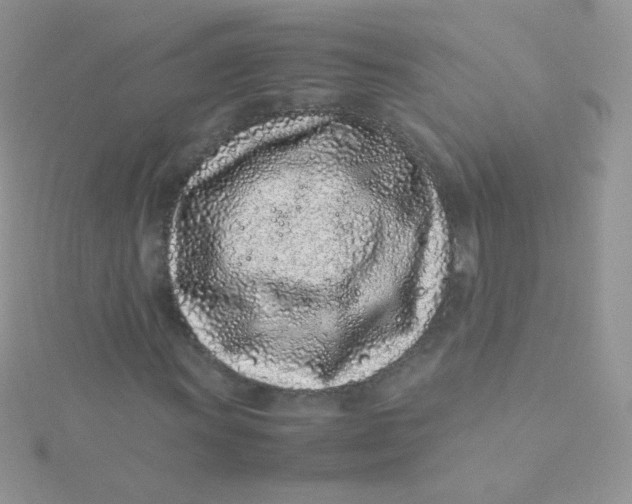 X0000115501011200911271405