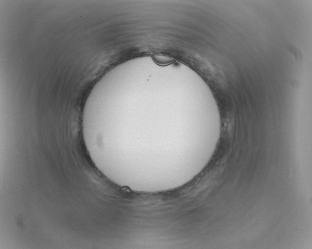 X0000115501012200911271405