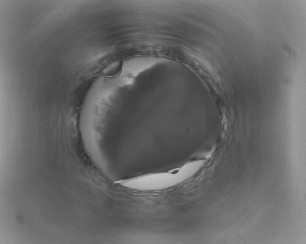 X0000115501013200911271405