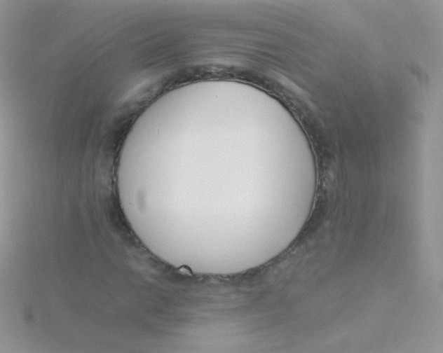 X0000115501014200911271405