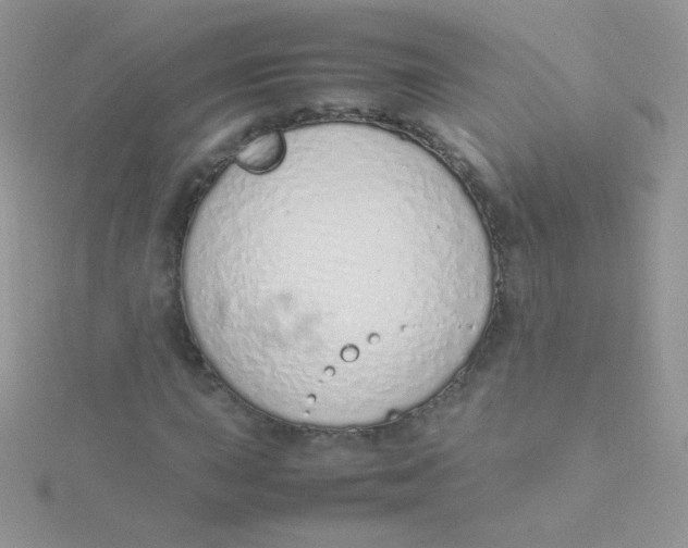 X0000115501015200911271405