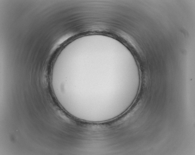 X0000115501018200911271405