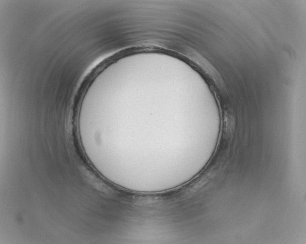 X0000115501020200911271405