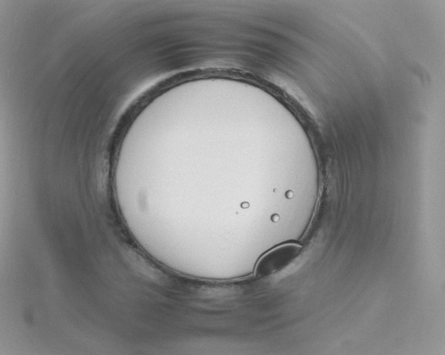 X0000115501021200911271405