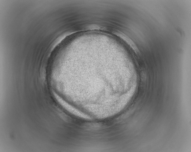 X0000115501023200911271405