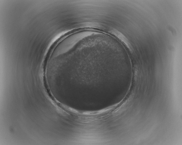 X0000115501024200911271405