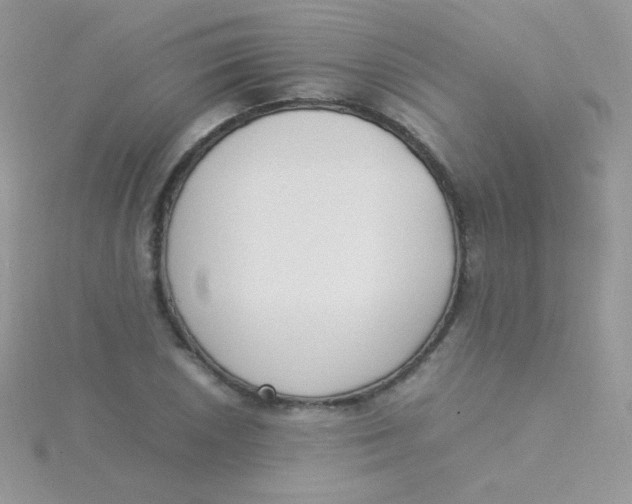 X0000115501026200911271405