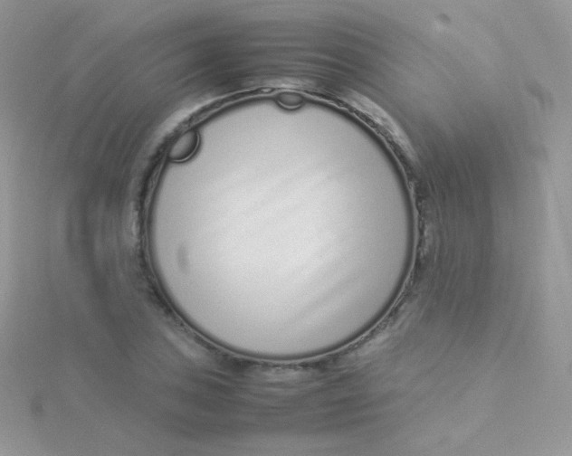 X0000115501027200911271405