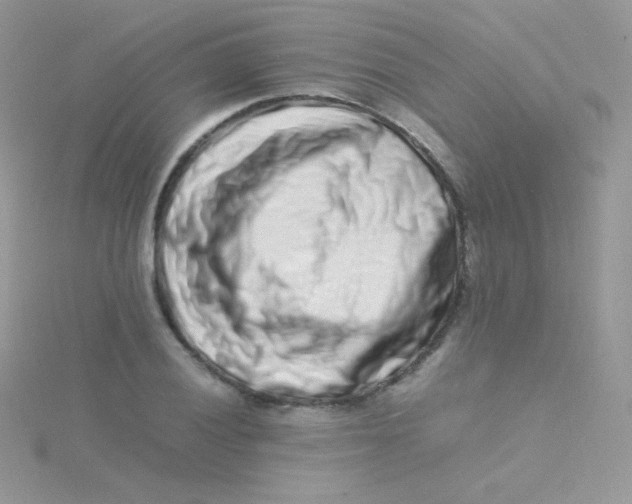 X0000115501028200911271405