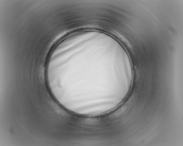 X0000115501029200911271405