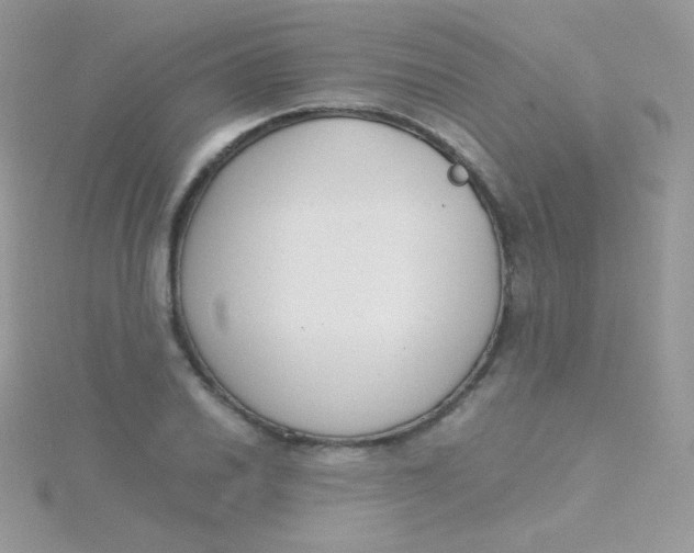 X0000115501030200911271405