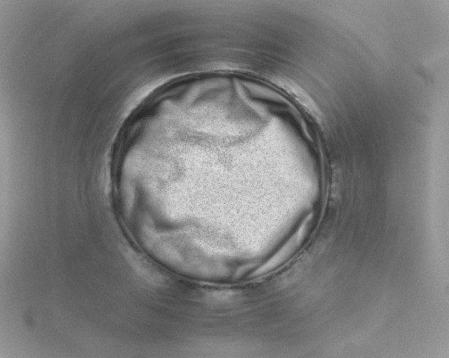 X0000115501031200911271405