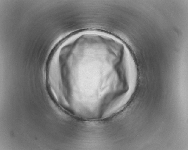 X0000115501032200911271405